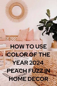 color 2024 pantone 13-1023 peach fuzz