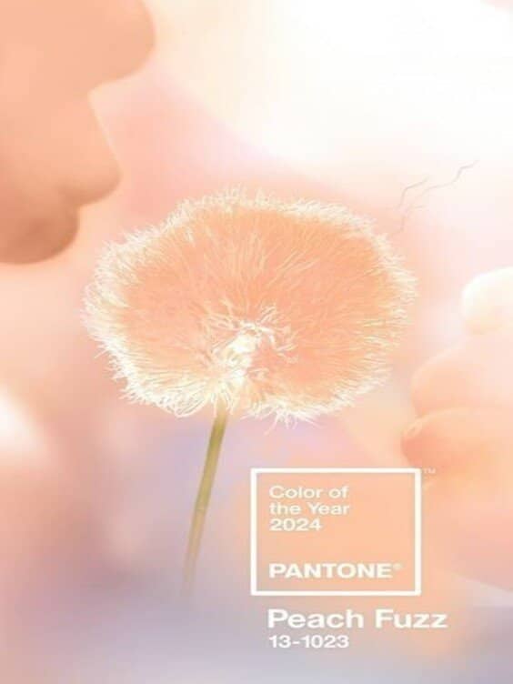 color of 2024 peach fuzz -pantone 13-1023 c